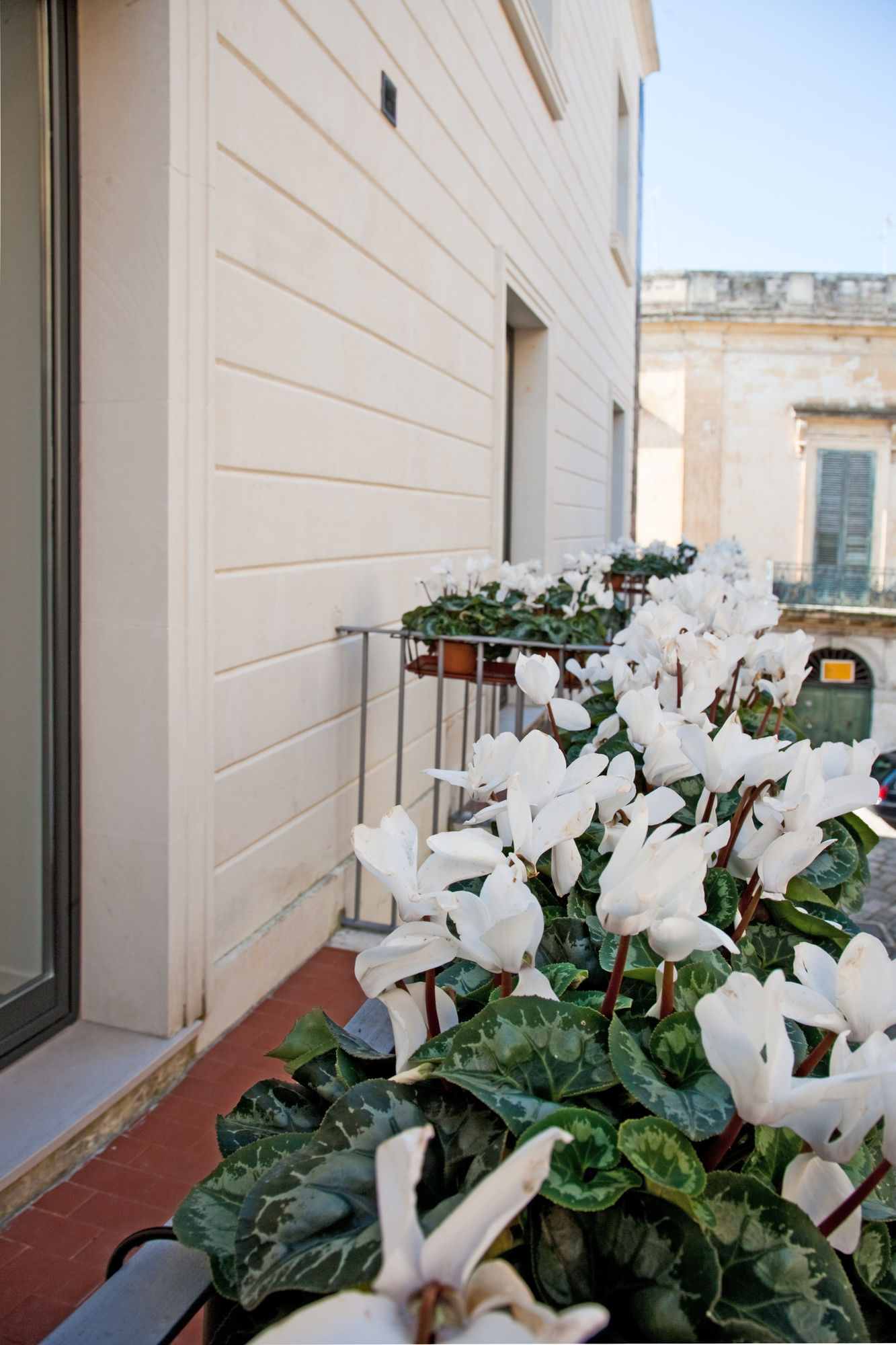 Фото Arco Vecchio