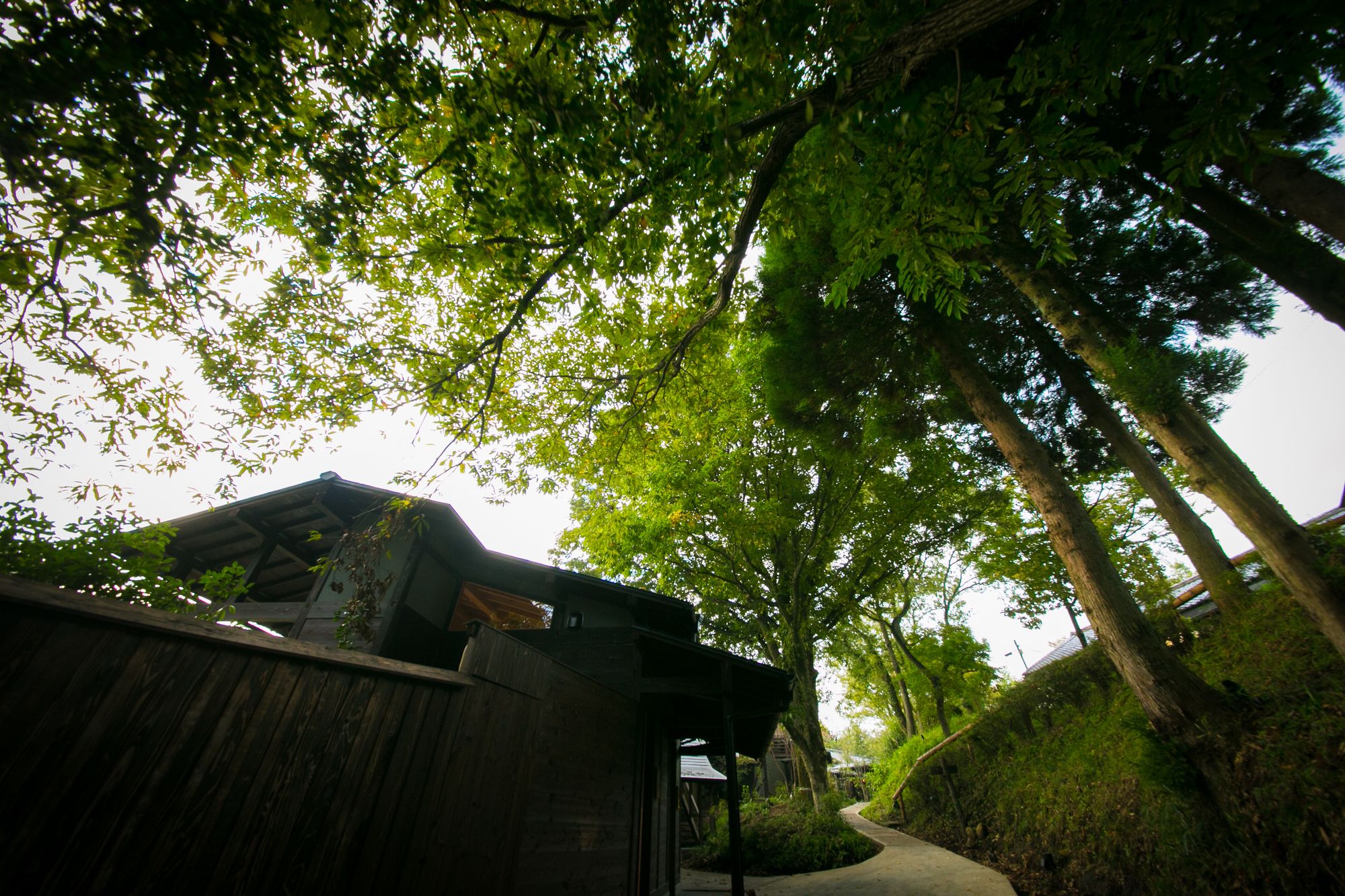 Фото Shukubo Kawaseminosho