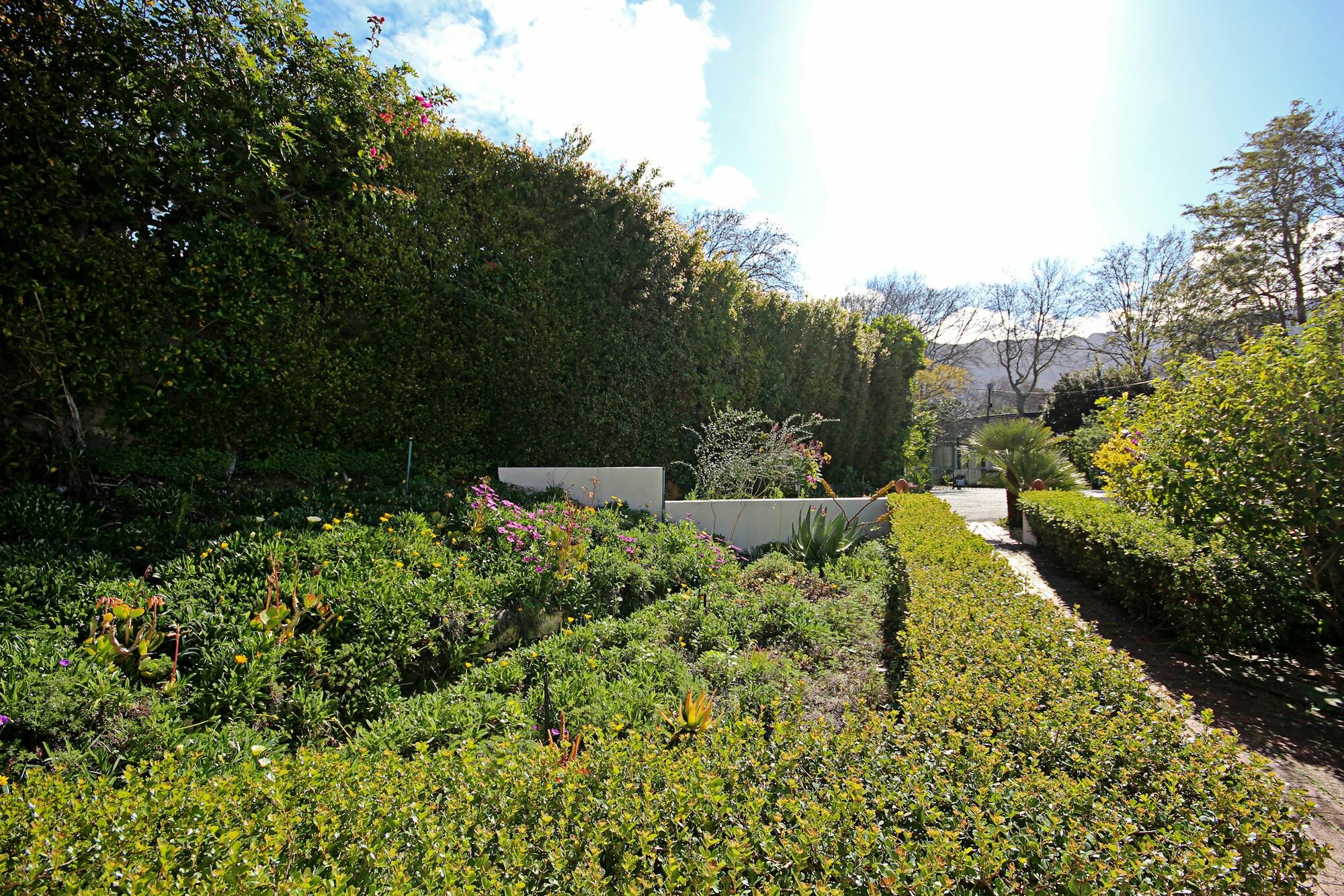 Фото Beluga of Constantia Guest House