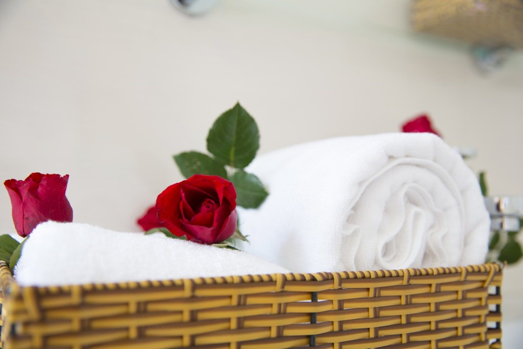 Фото Little Garden Bungalow