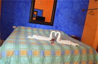 Фото Hotel Bello Caribe