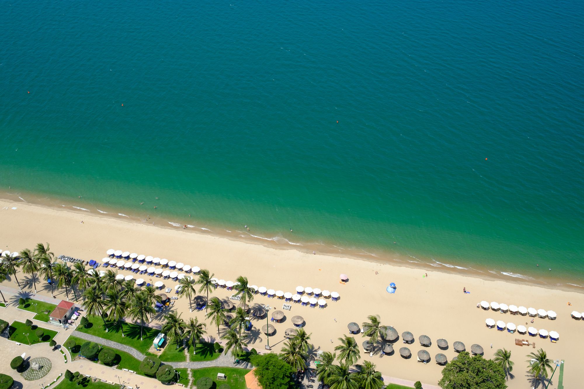 Фото Sunrise Ocean View Apartment