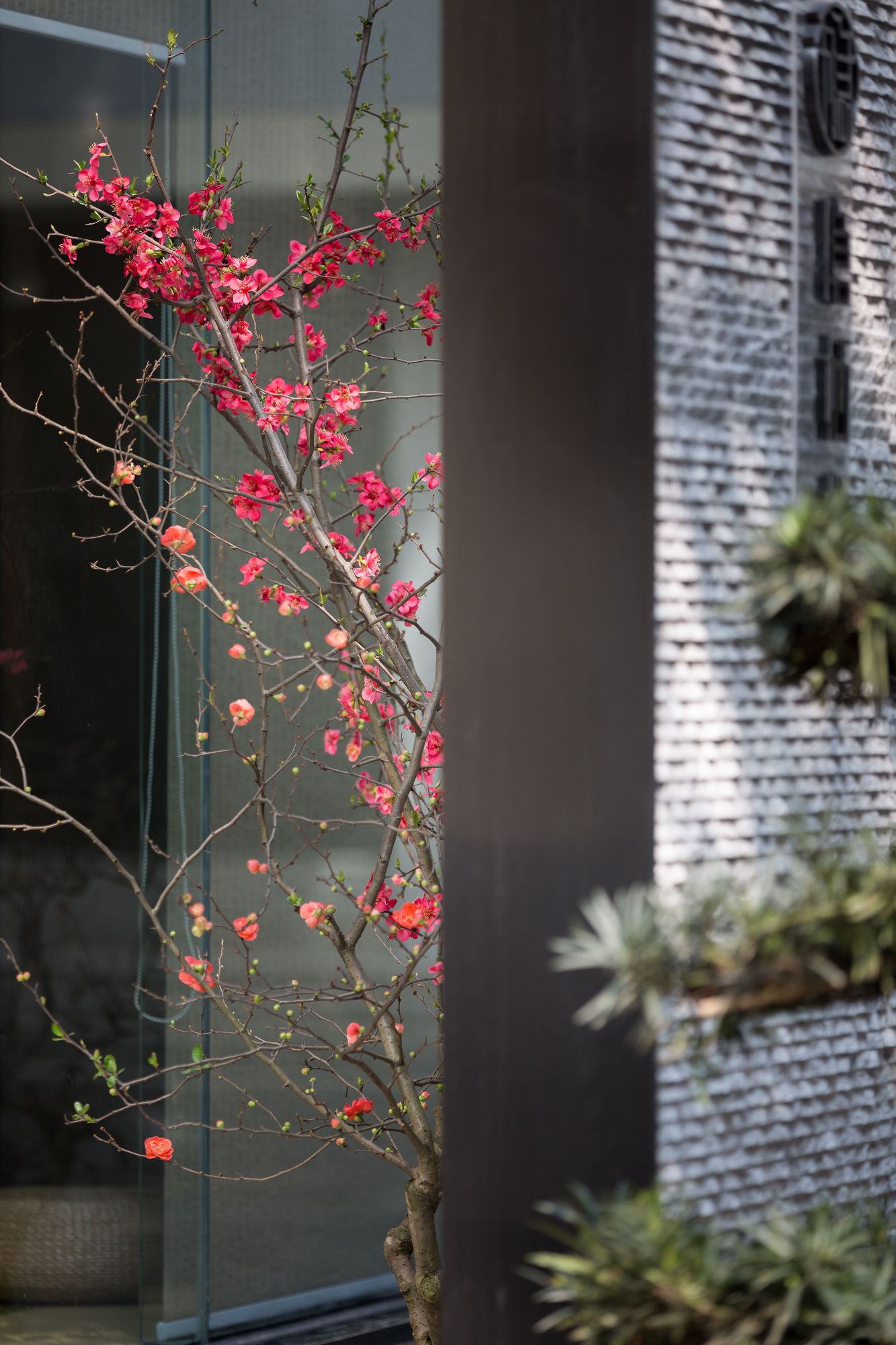 Фото The Hidden House Hotel