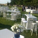 Ekin Organization Floristry (Eskişehir, Odunpazari District, Kurtulus Neighborhood, Ziya Pasa Avenue, 12), flower shop