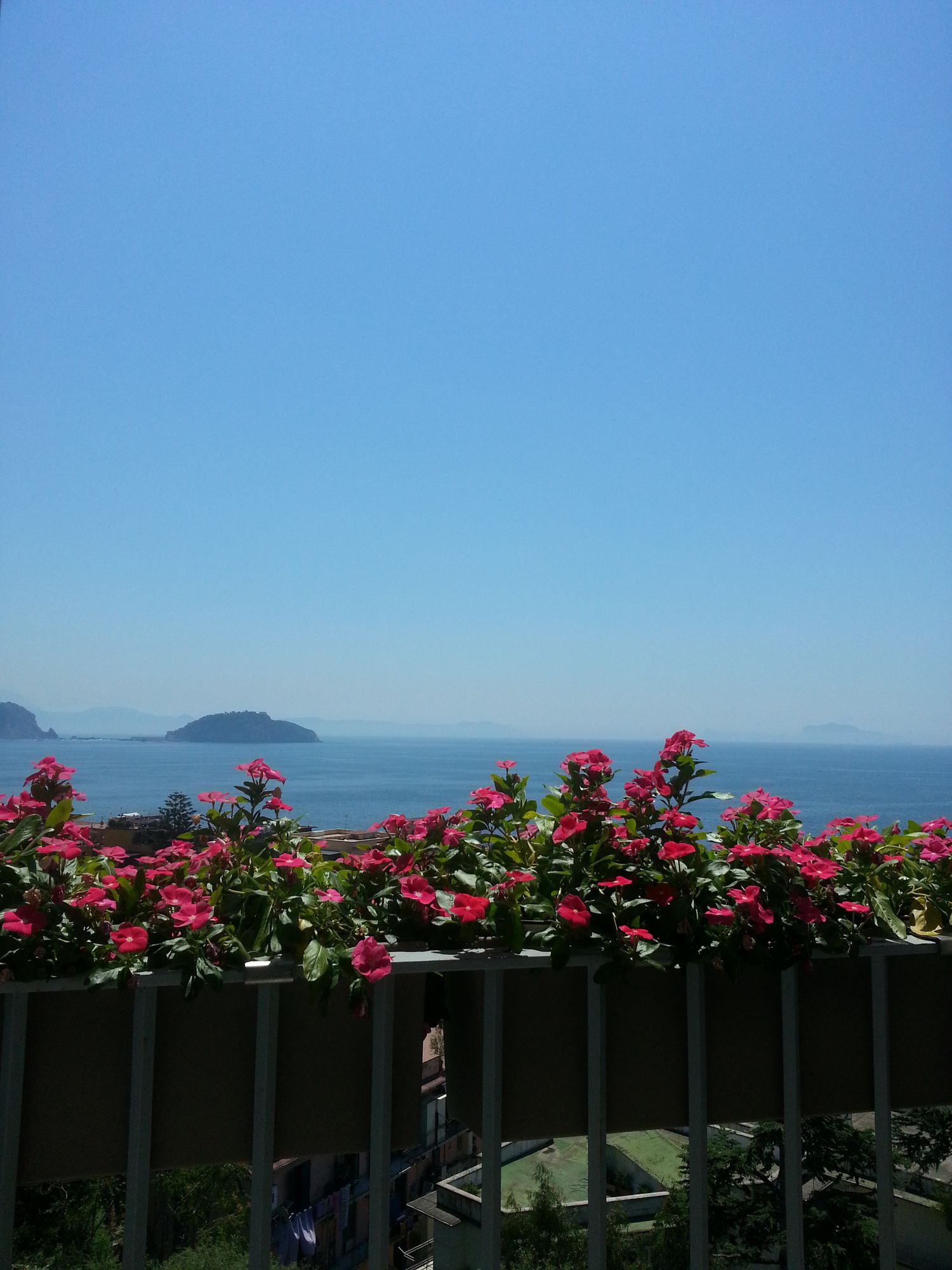 Фото Villa Avellino