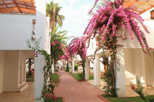 Гостиница Club Kastalia Holiday Village в Конаклы