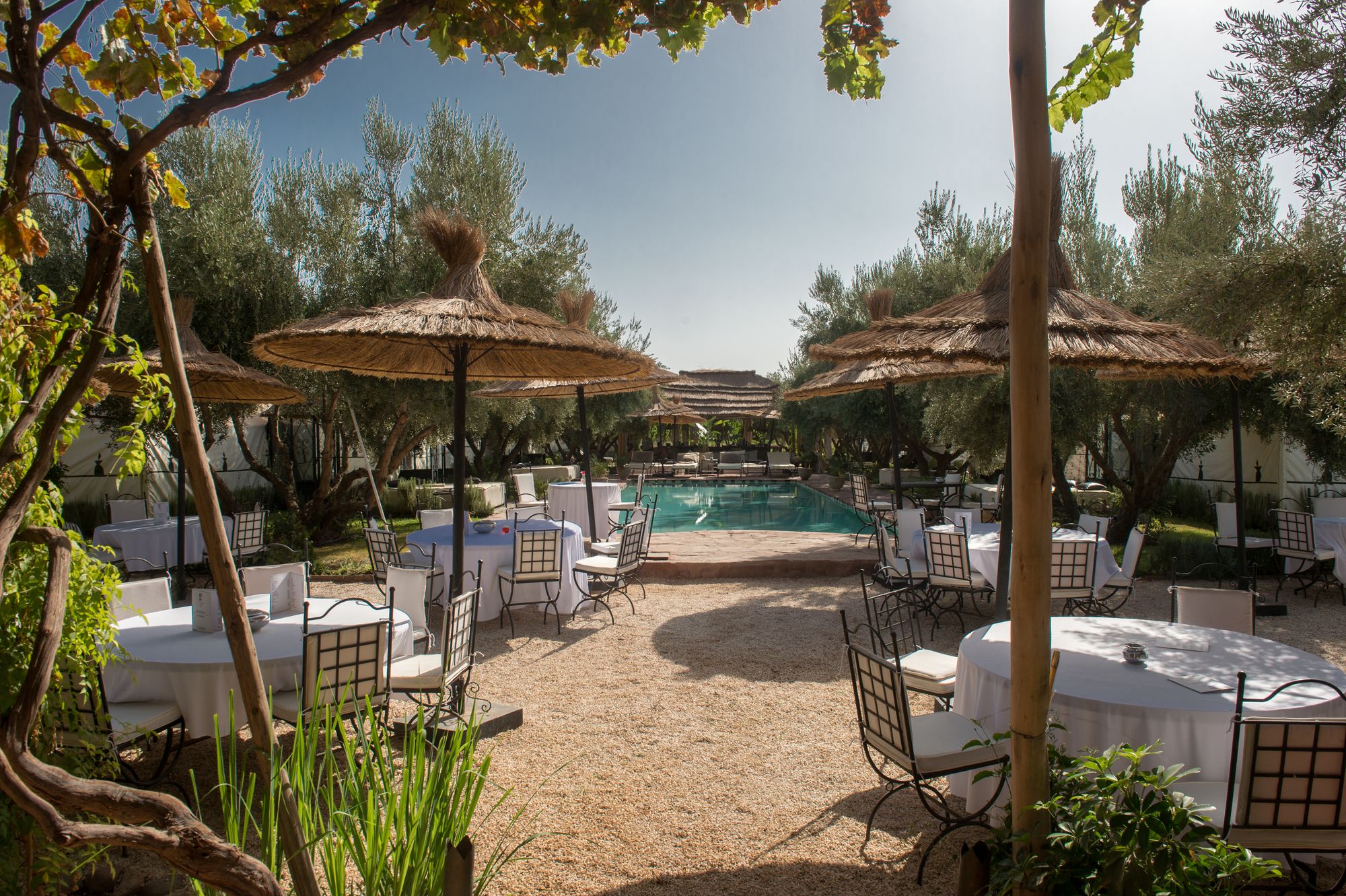 Фото La Ferme El Dar