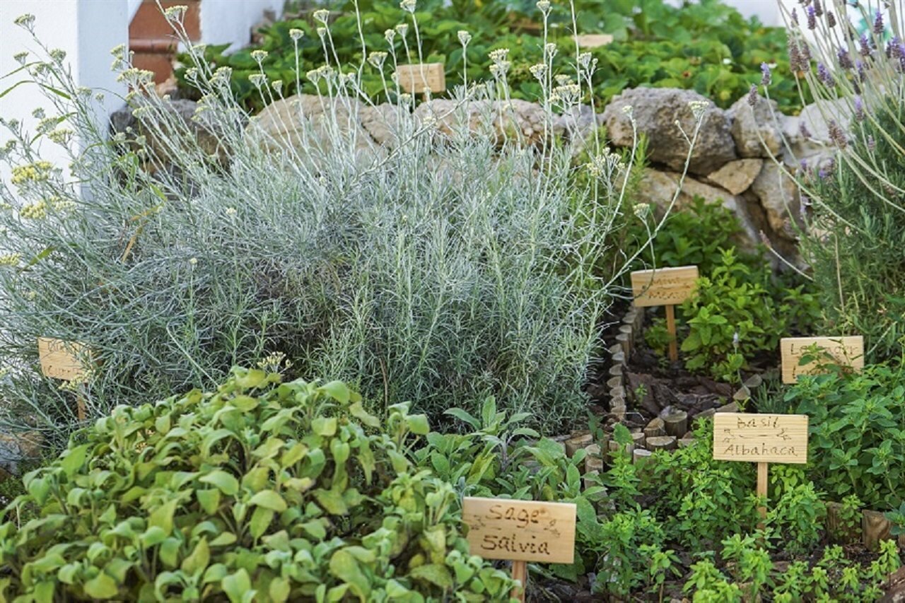 Фото White Sands Beach Club