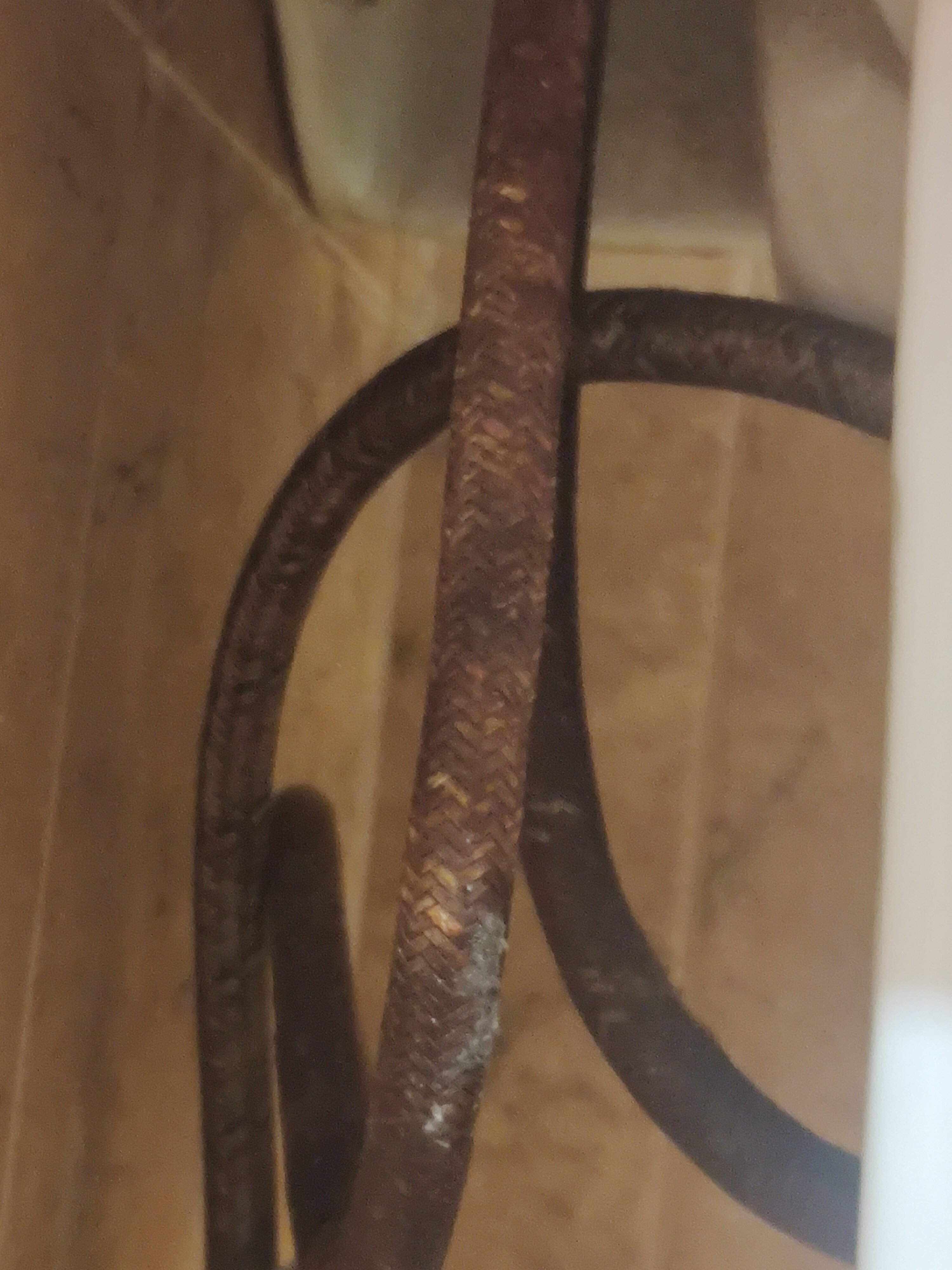 Фото Pan Tourist