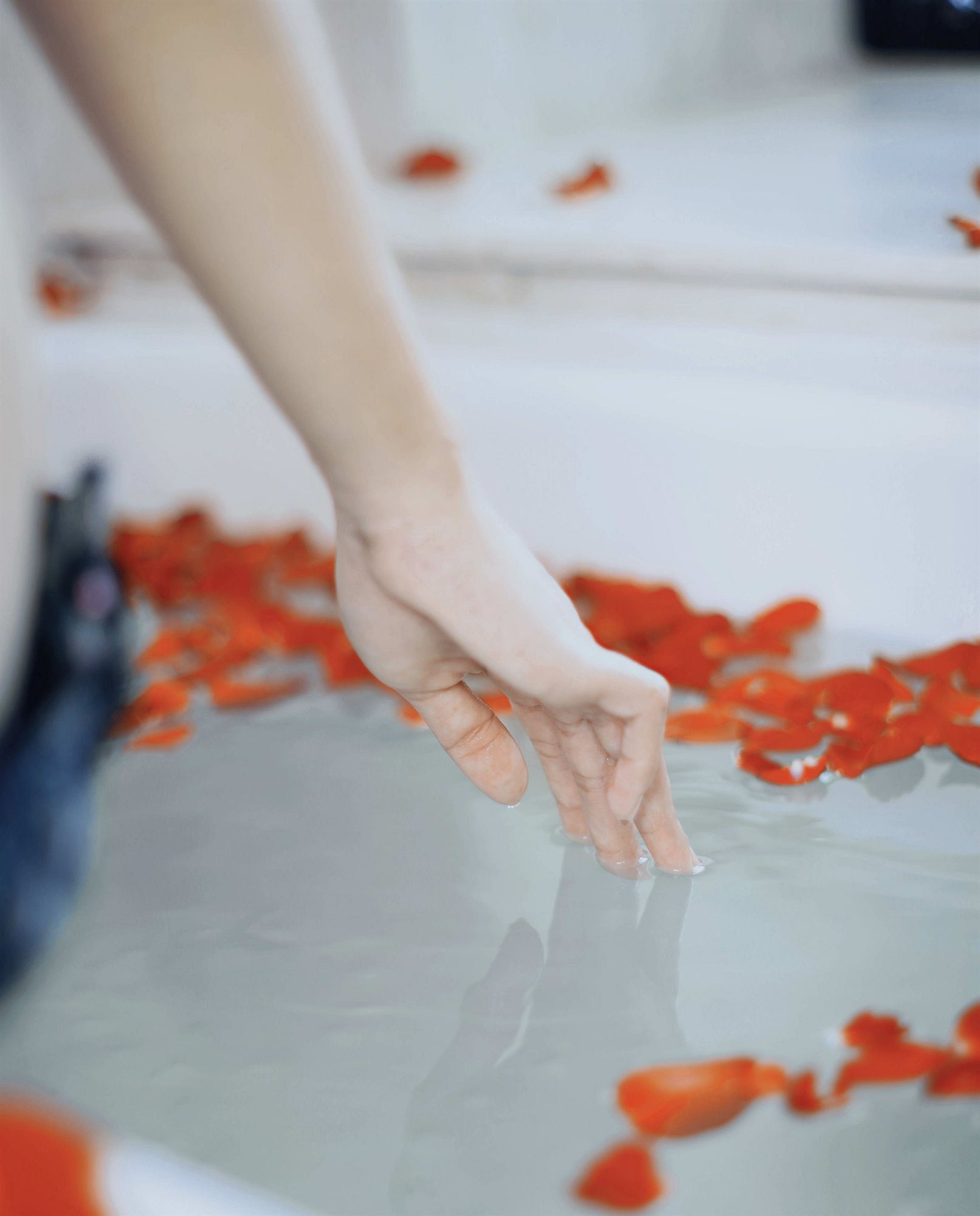 Фото Redtop Hotel & Convention Center