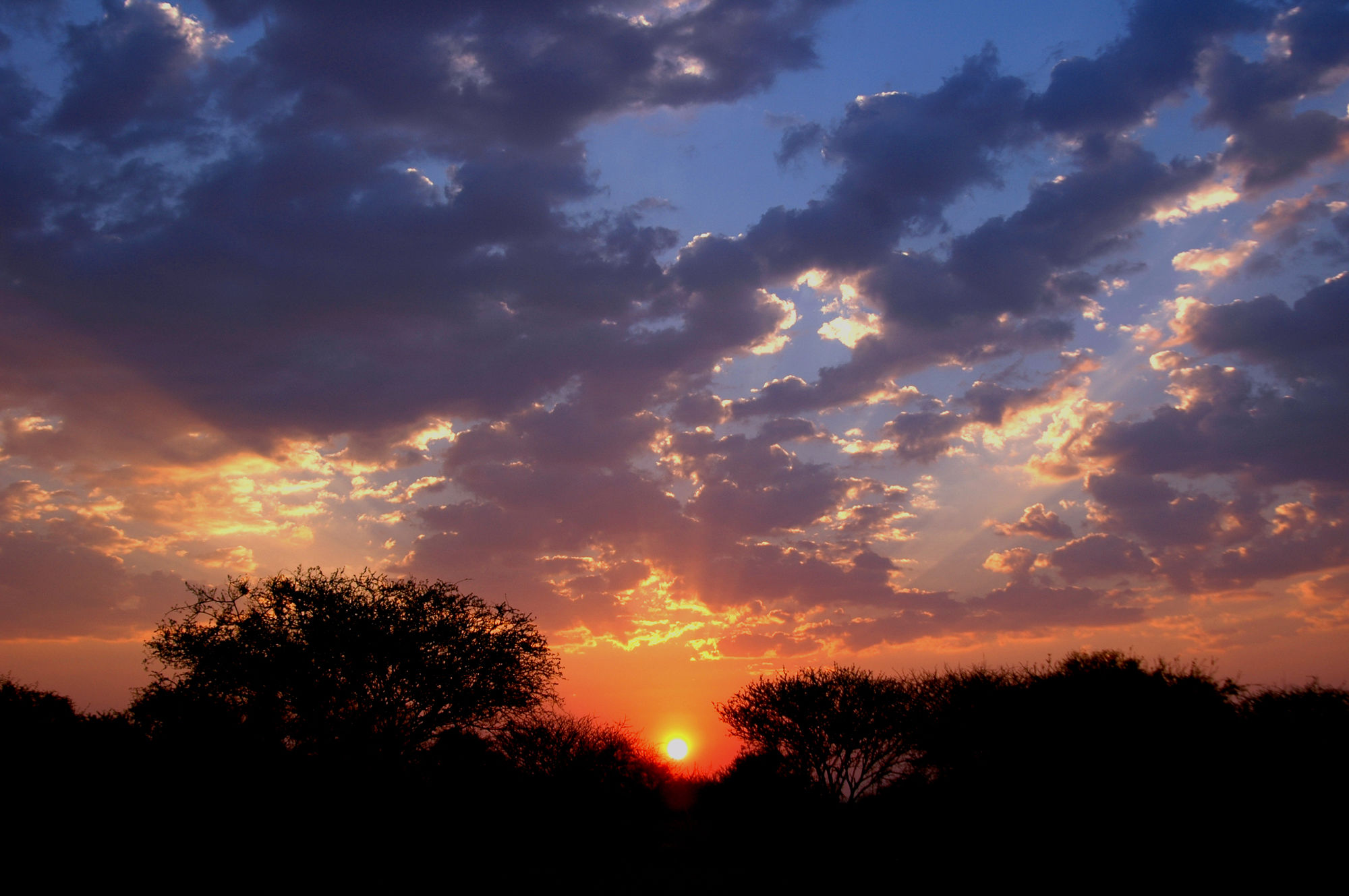 Фото Arebbusch Travel Lodge