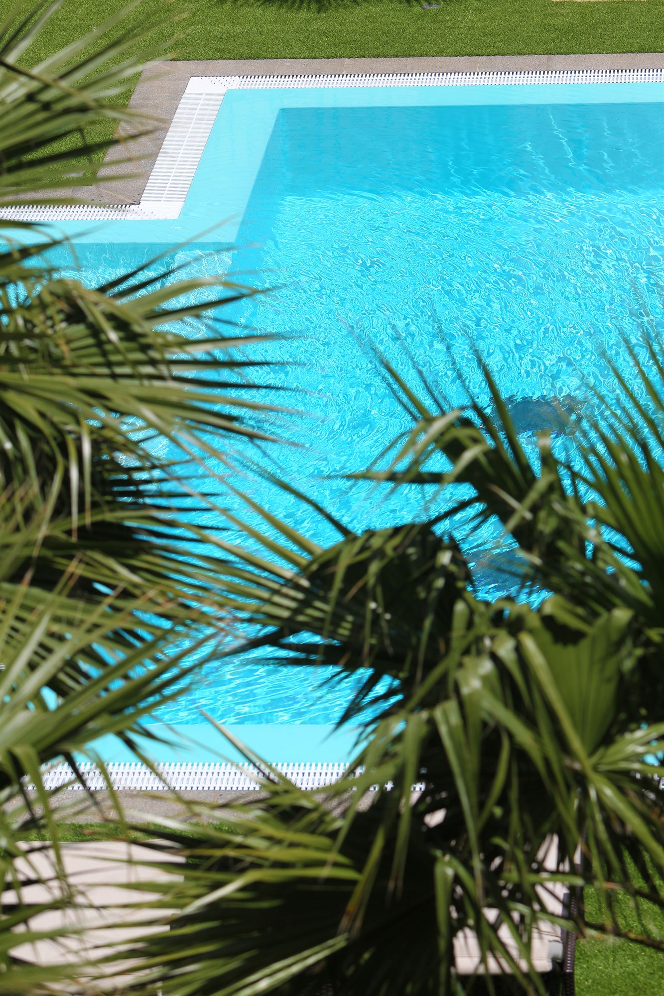 Фото Dreams Madeira Resort SPA & Marina