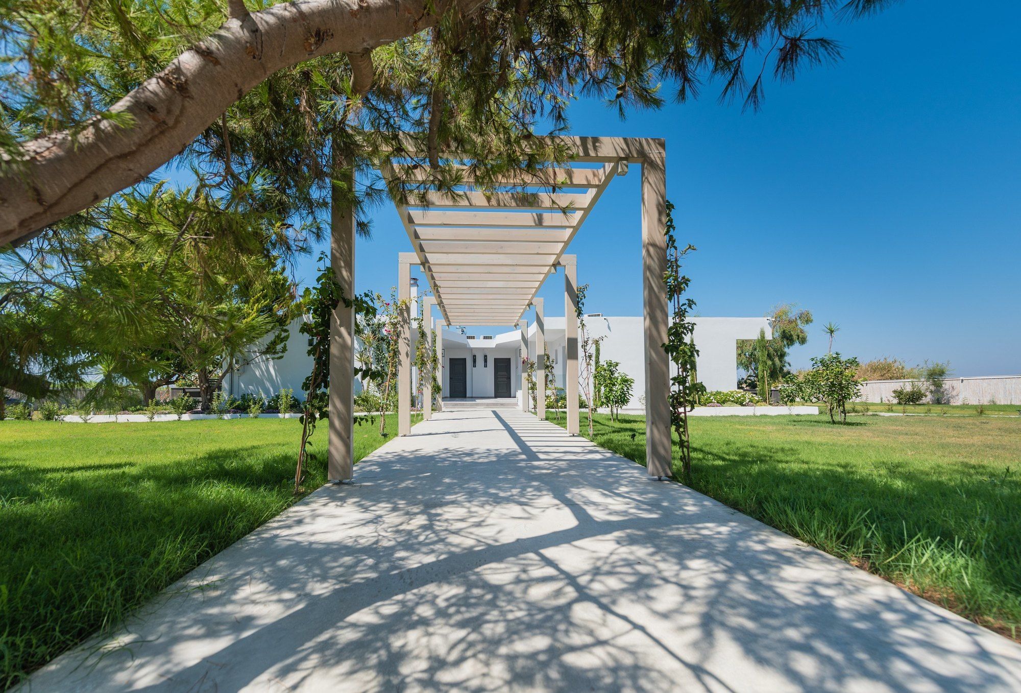 Фото Venus Resort