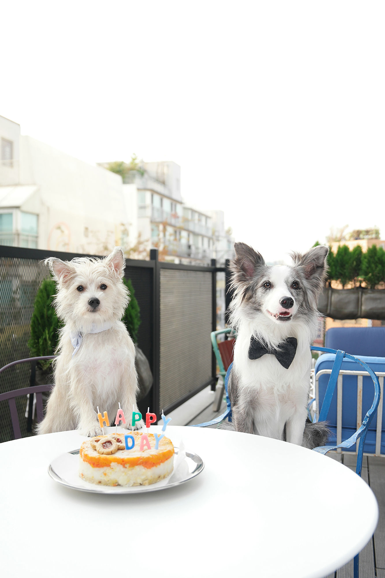 Фото Hotel Cappuccino