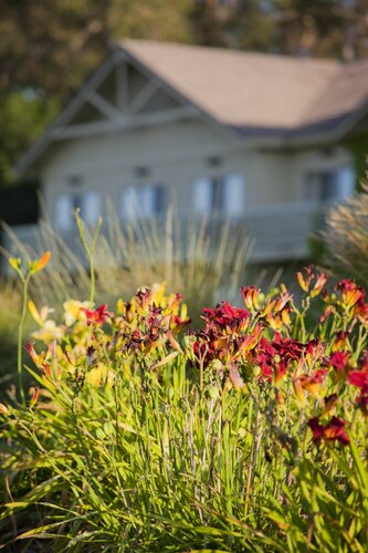 Гостиница Temecula Creek Inn в Темекуле