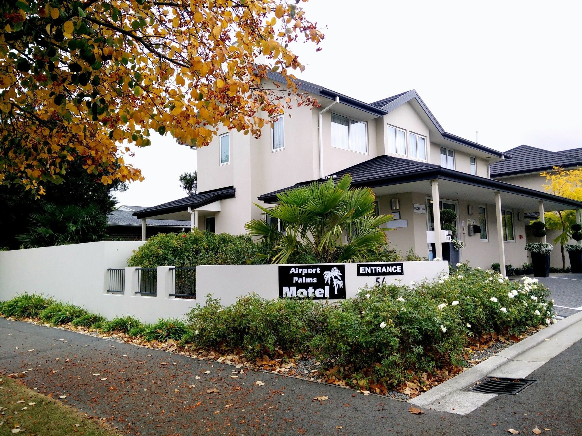 Фото Airport Palms Motel