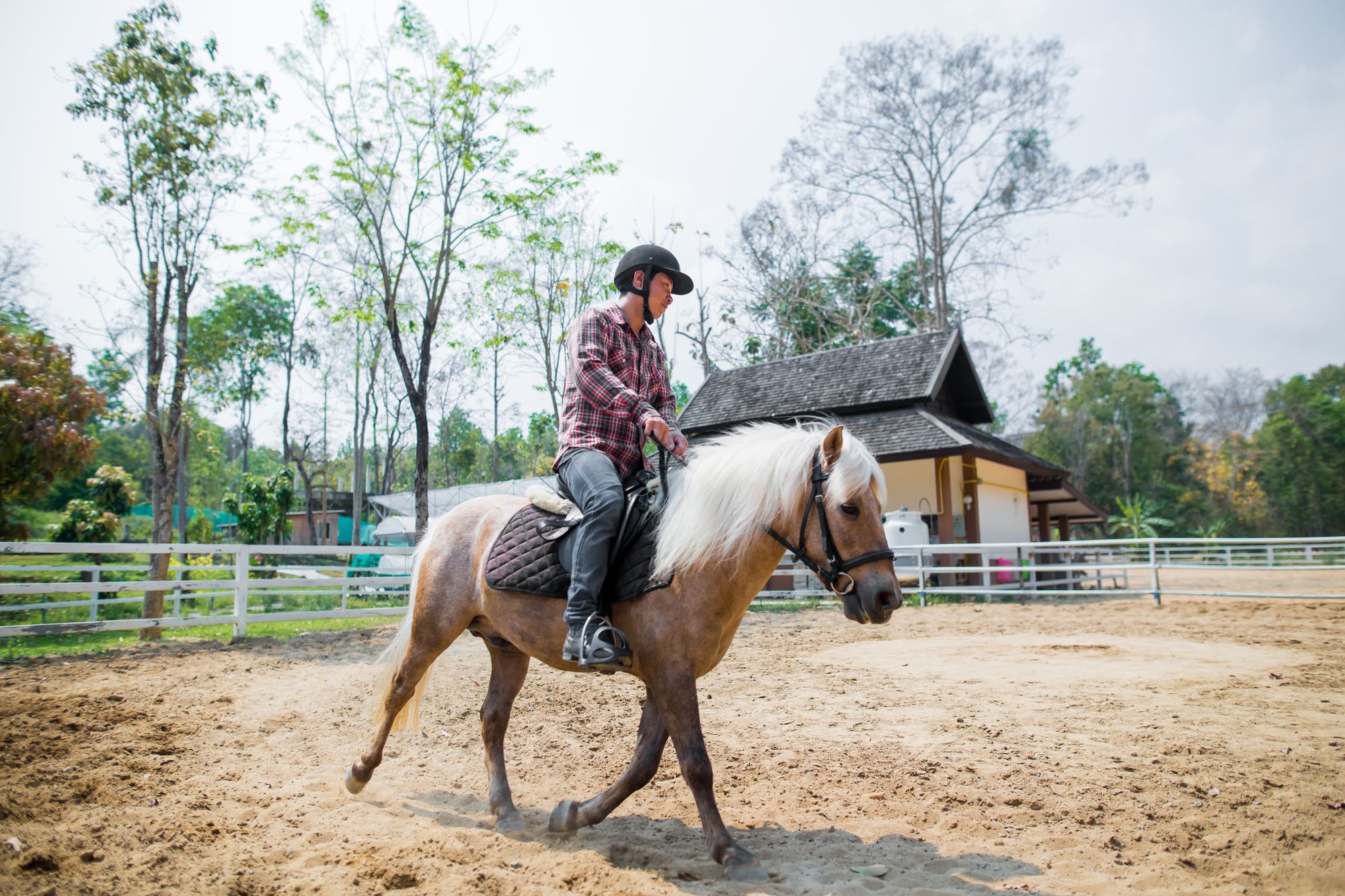 Фото Jirung Health Village