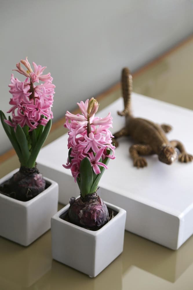 Фото The Y Hotel