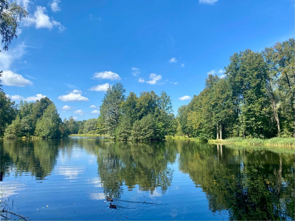 Beach Пляж, Moscow and Moscow Oblast, photo