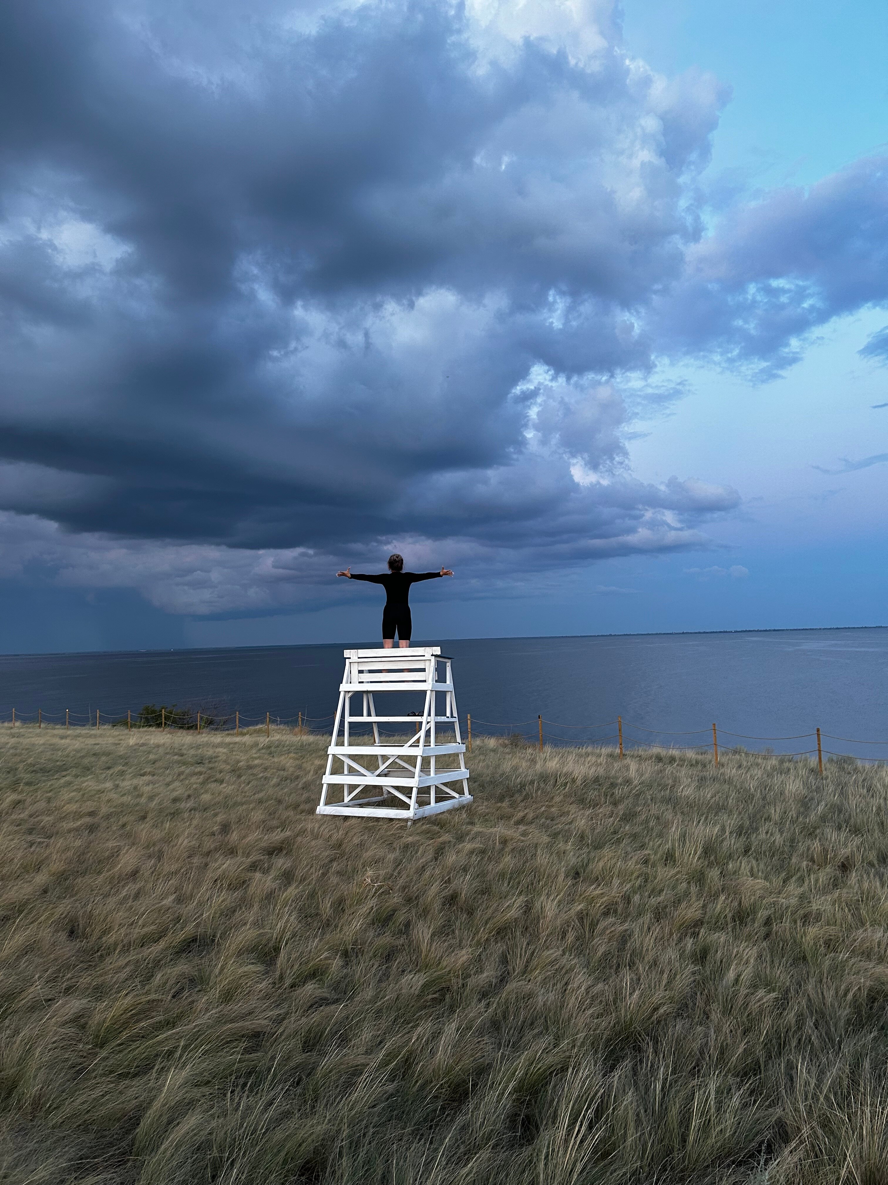 Фото Полынь