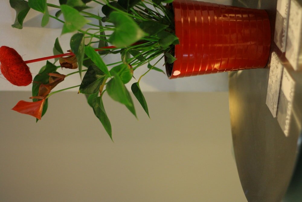 Фото Hotel Mayerling