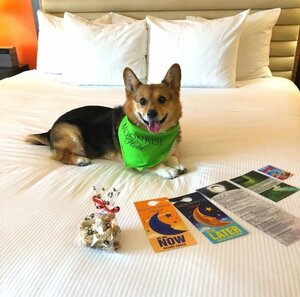 Гостиница Moonrise Hotel