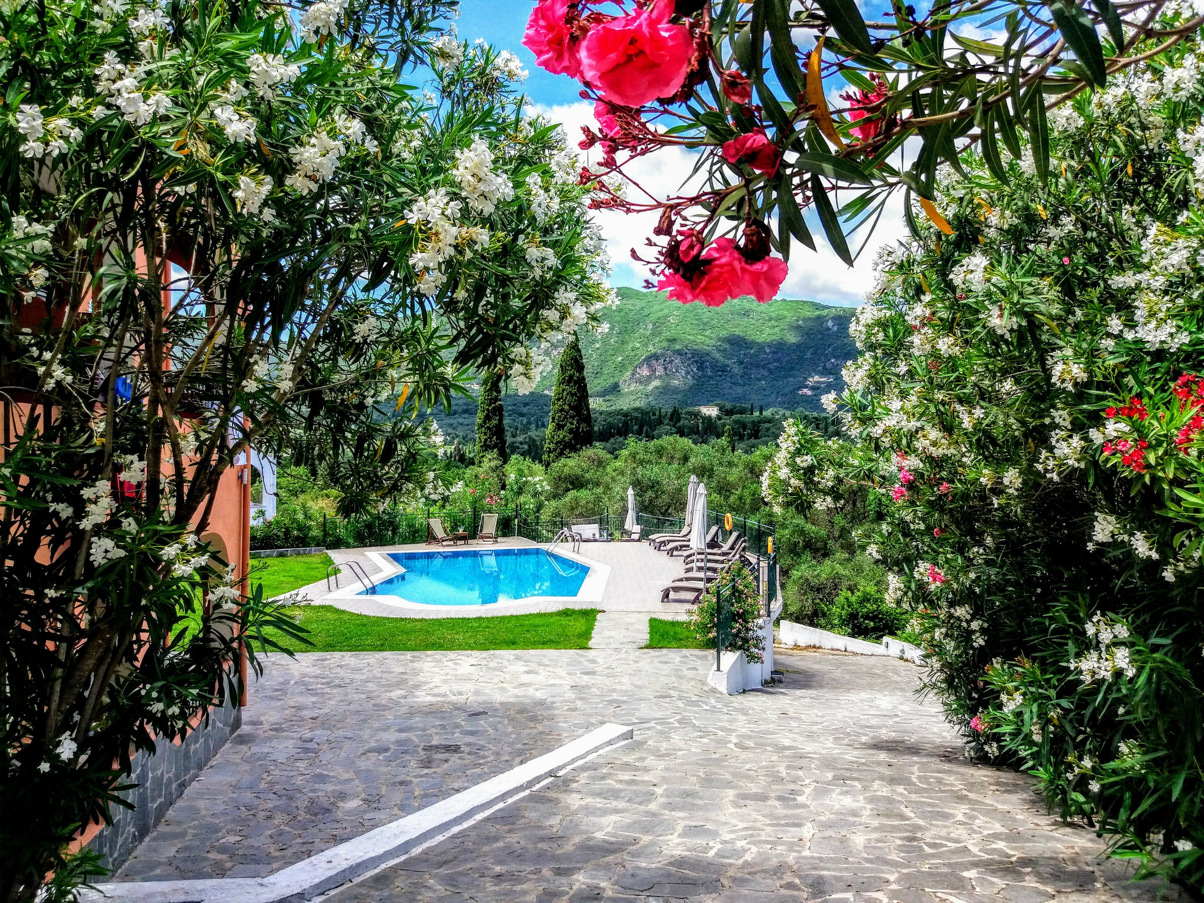 Фото Ziogas Apartments