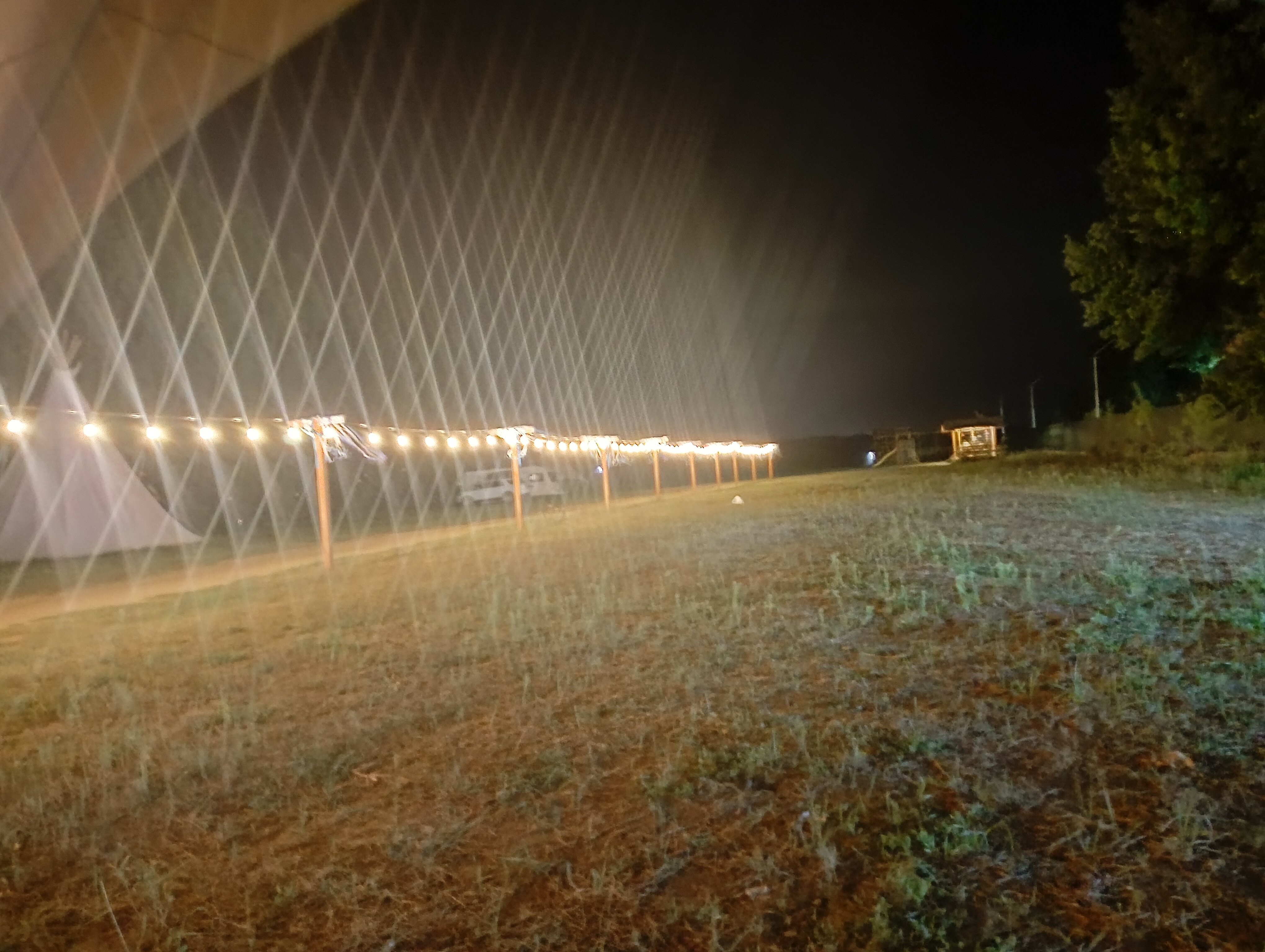 Фото Натура