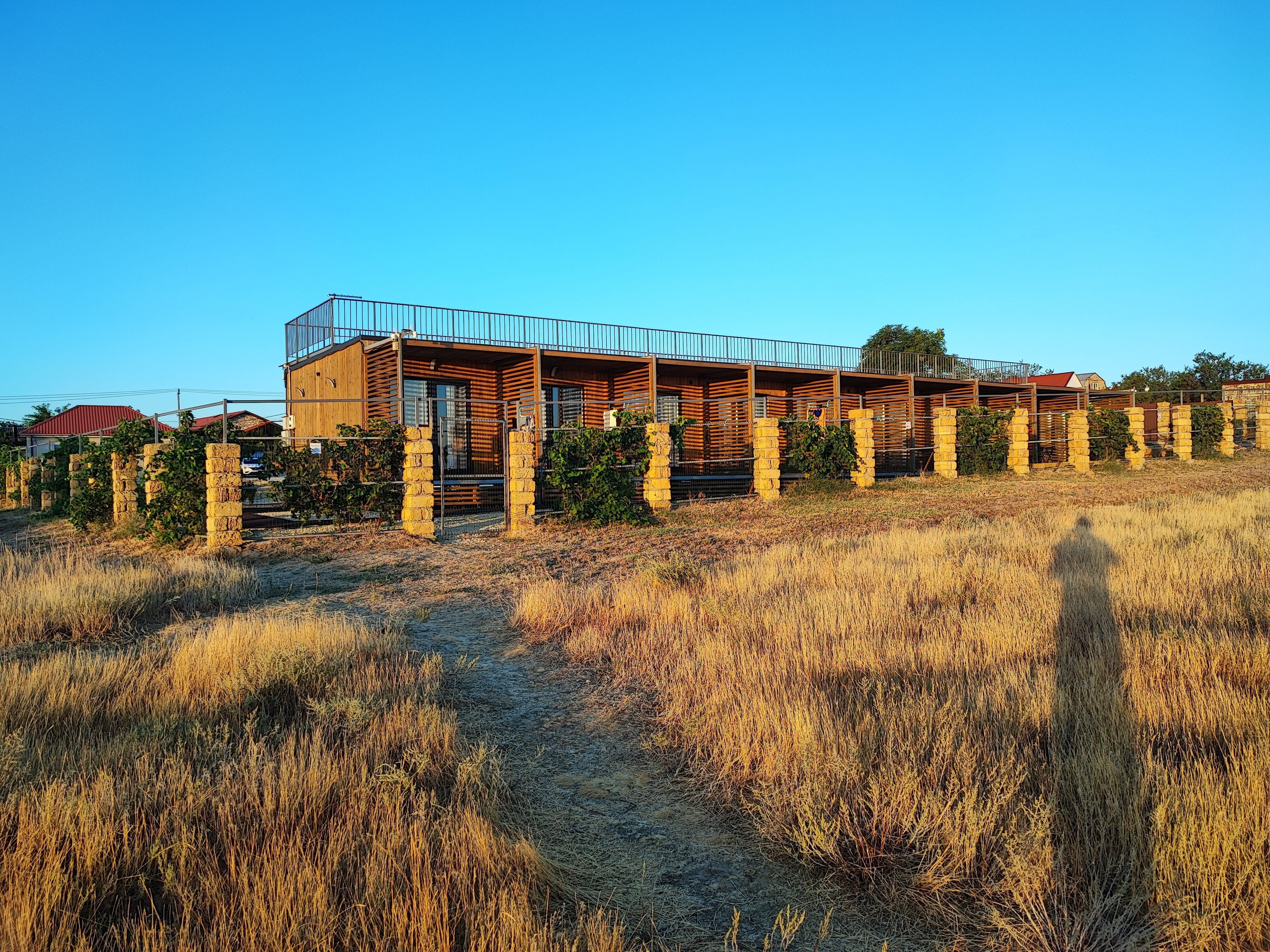 Фото Лемонад