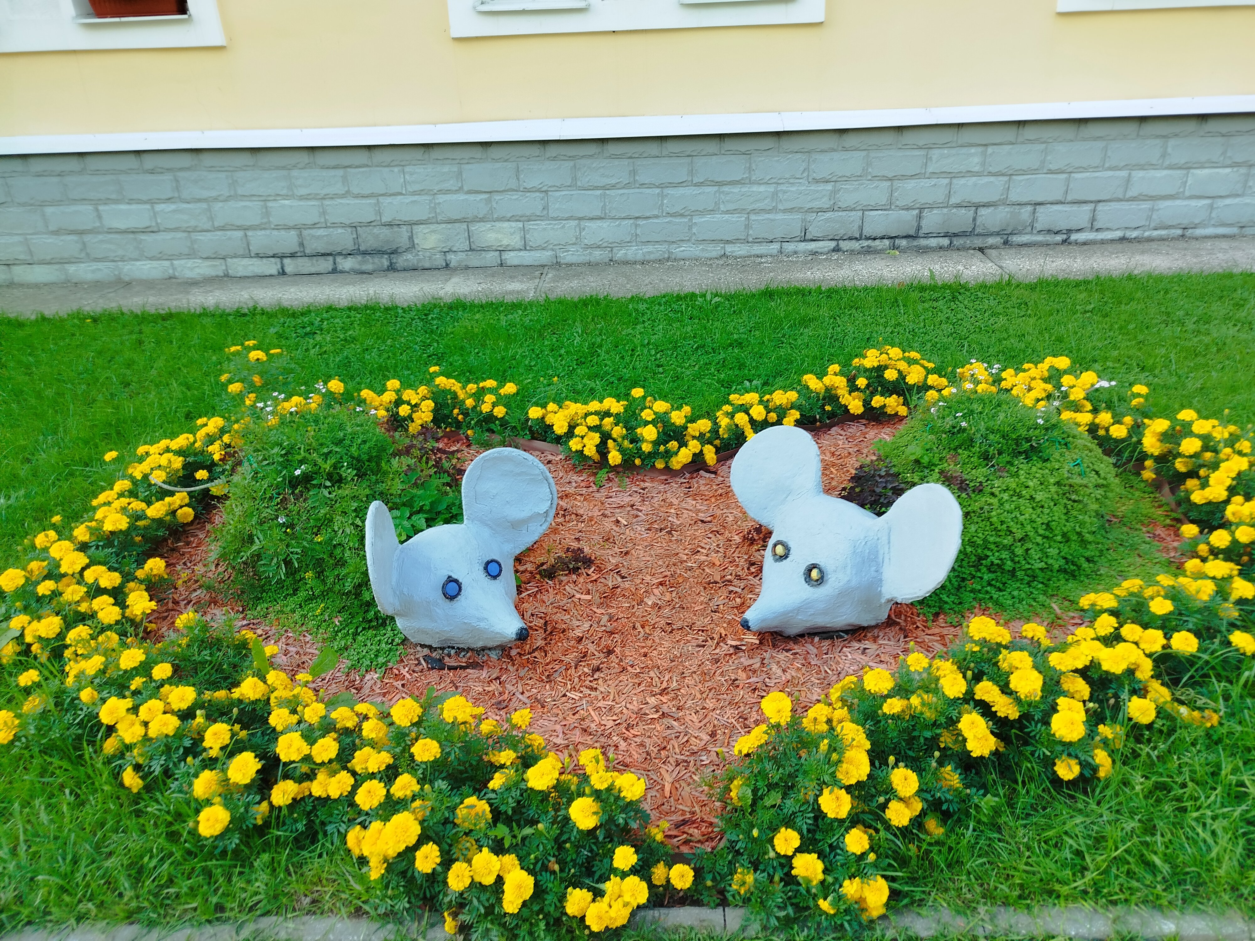 Фото Кошкин Дом