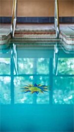 Фото Best Western Seminole Inn & Suites