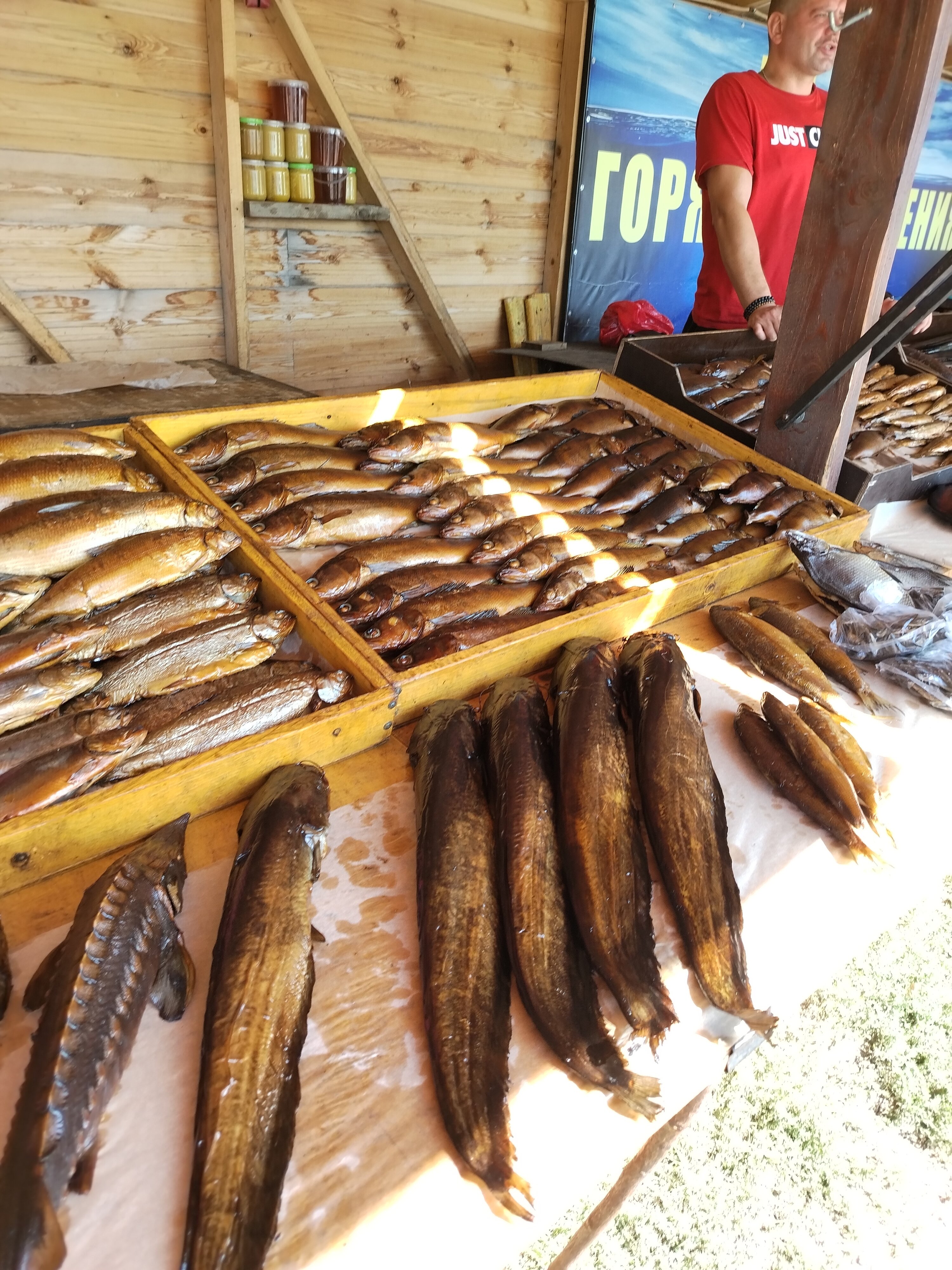 Фото Светлица