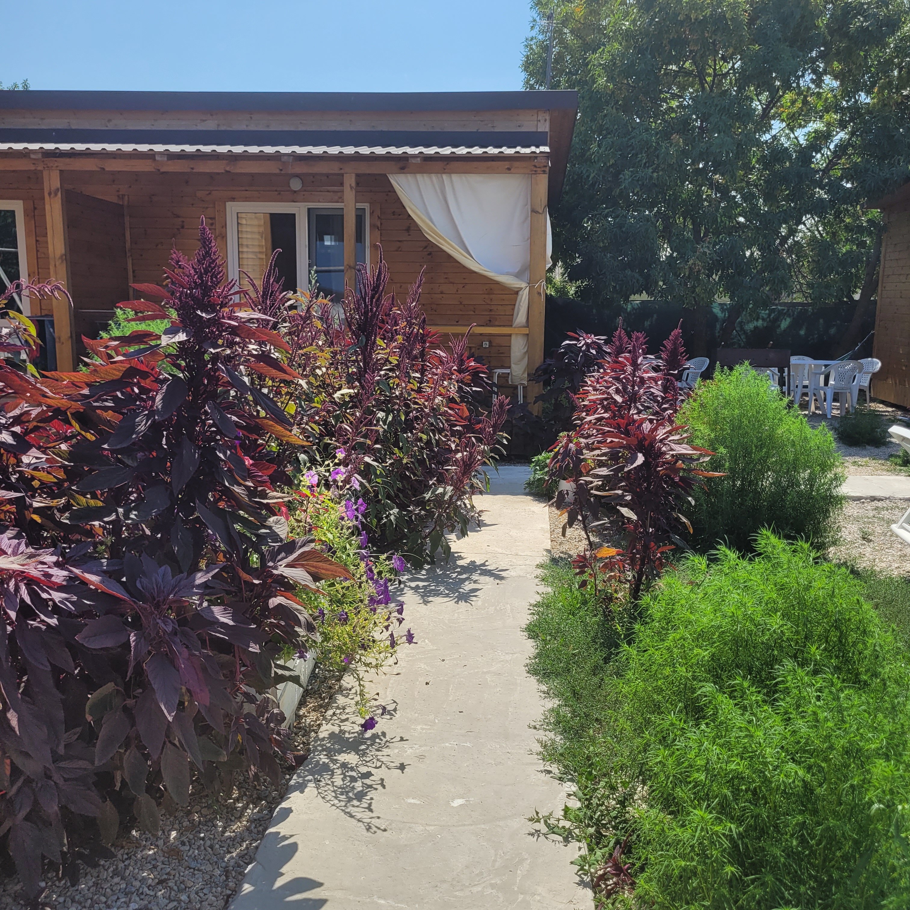 Фото Солнце в Доме