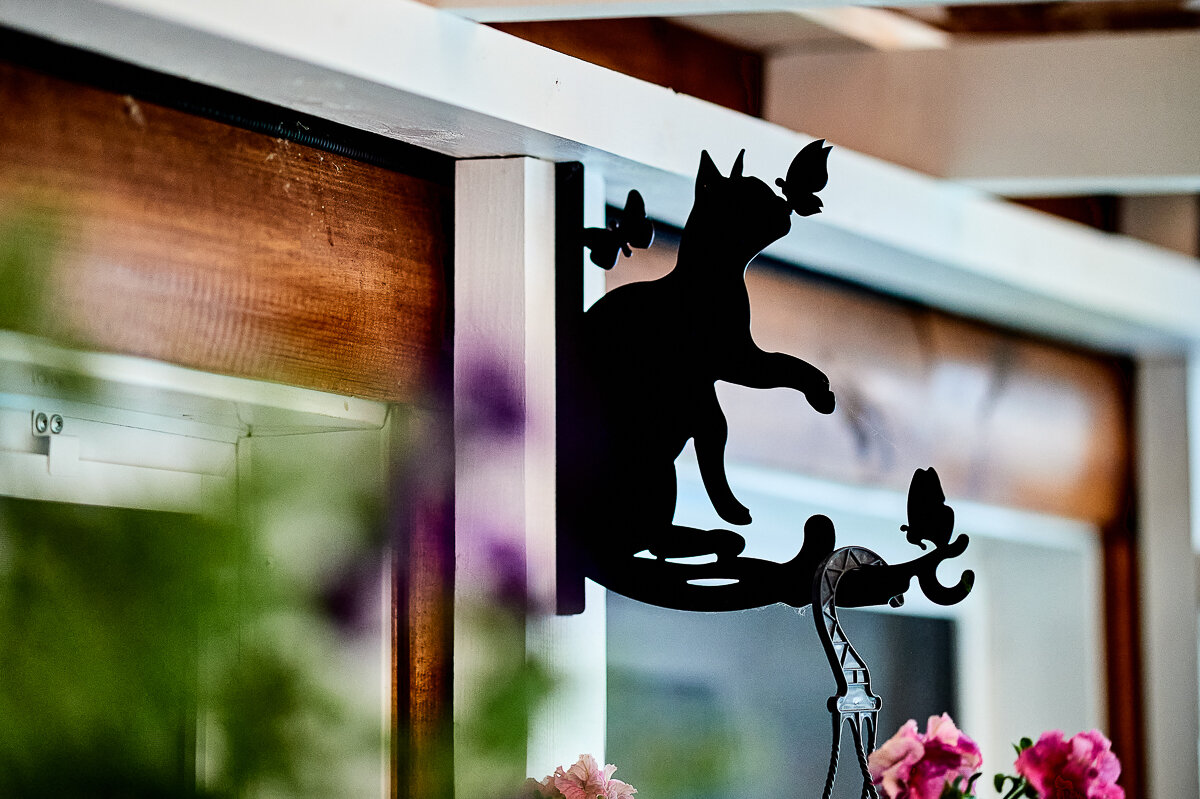 Фото Два дома