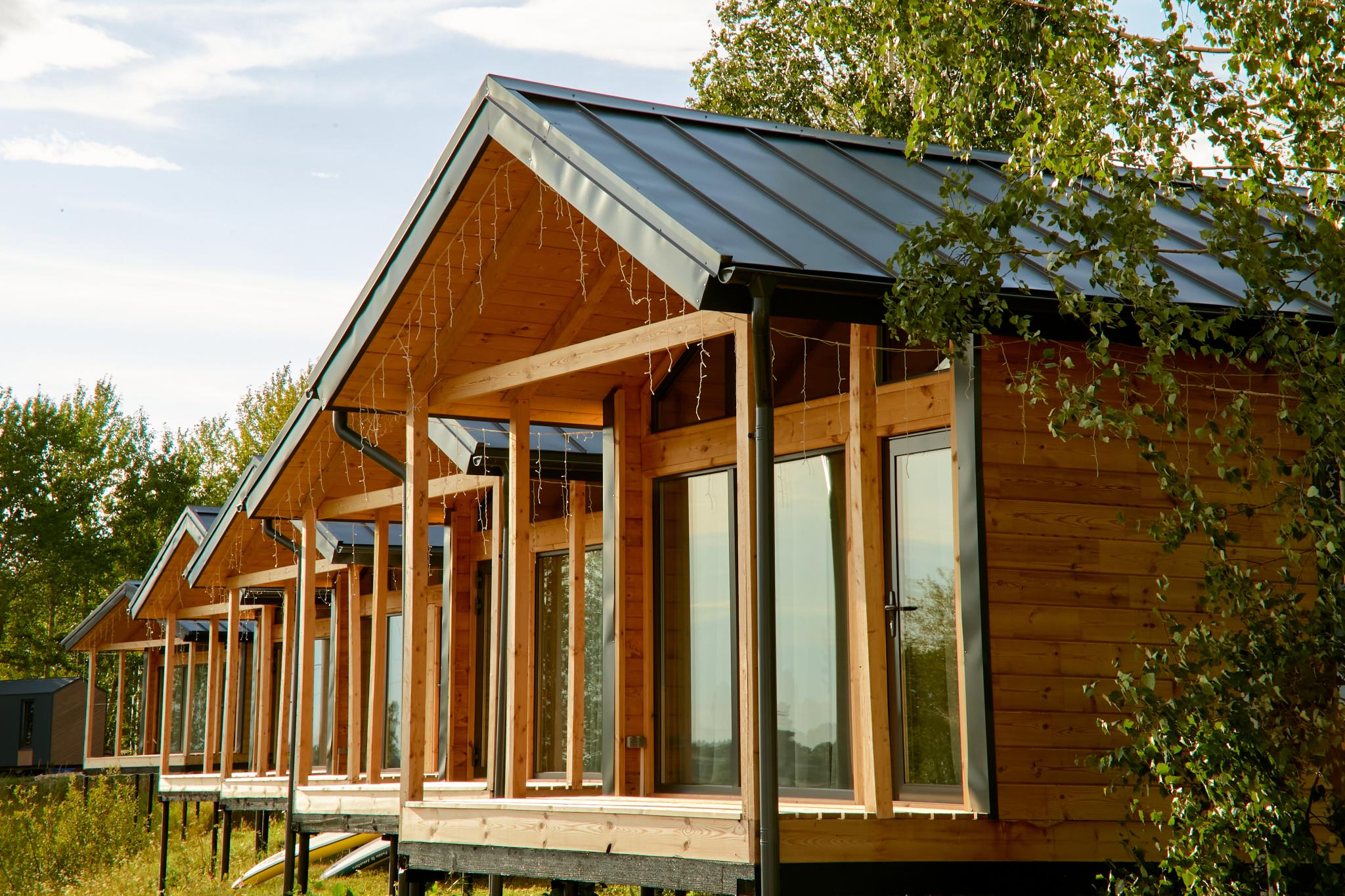 Фото Бобры и Утки