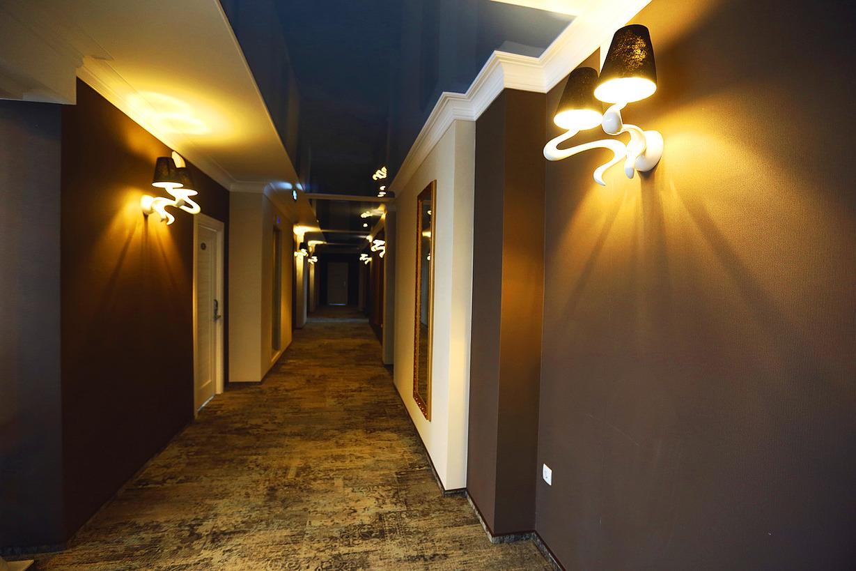 Фото Золотой дракон