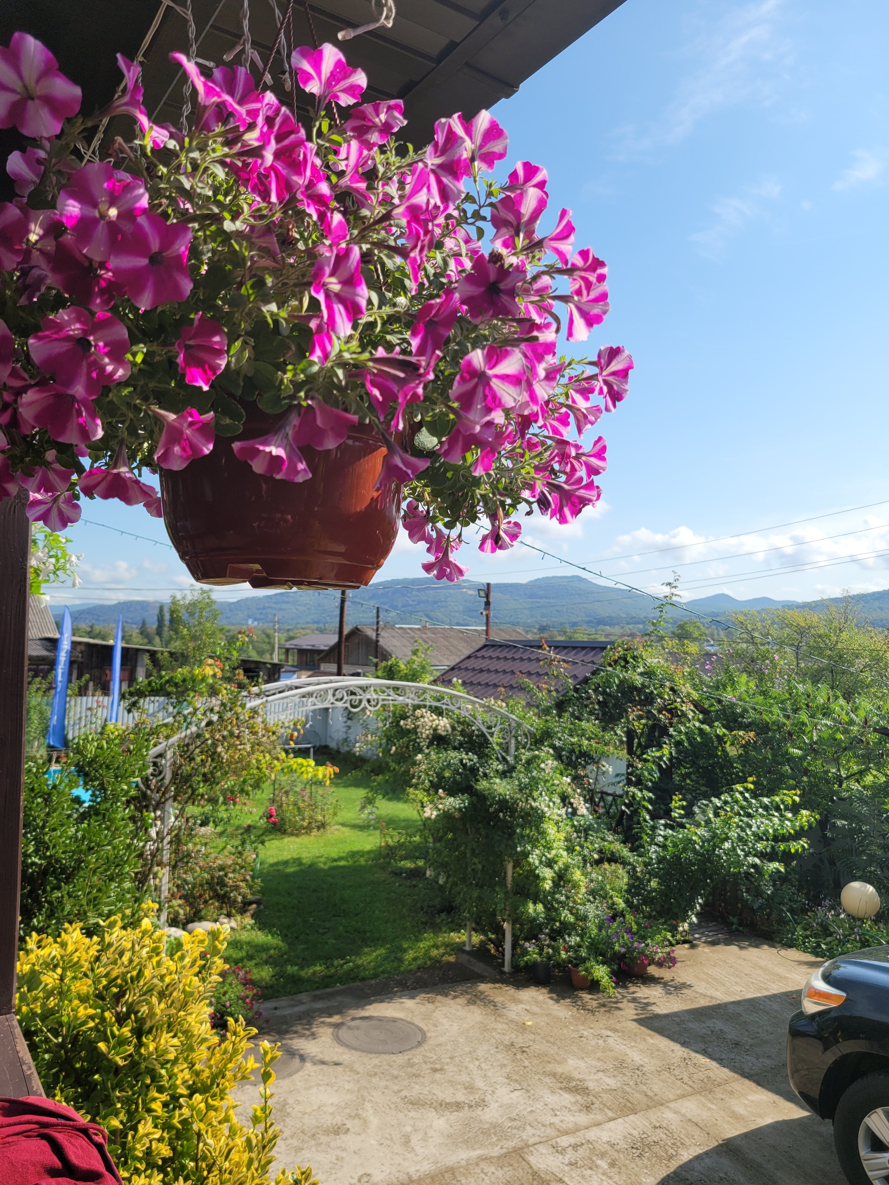 Фото Панорама