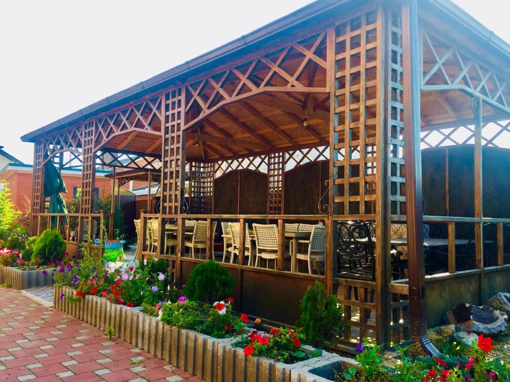 Фото Стрекоза