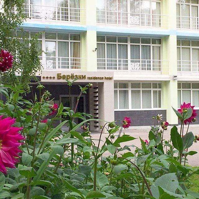 Фото Берёзки