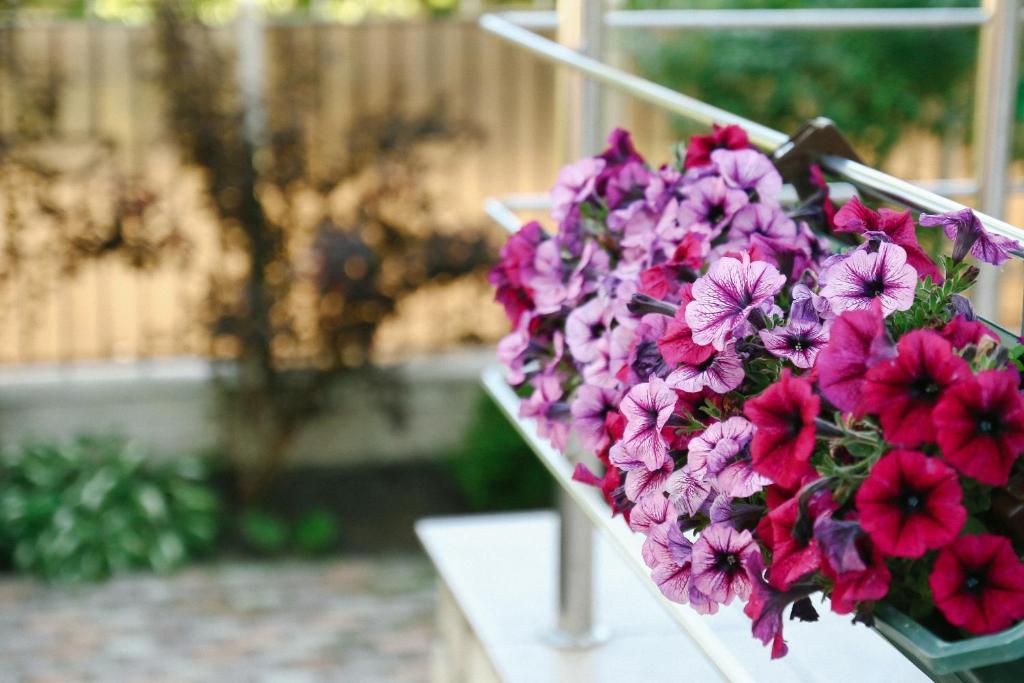 Фото Кристалл