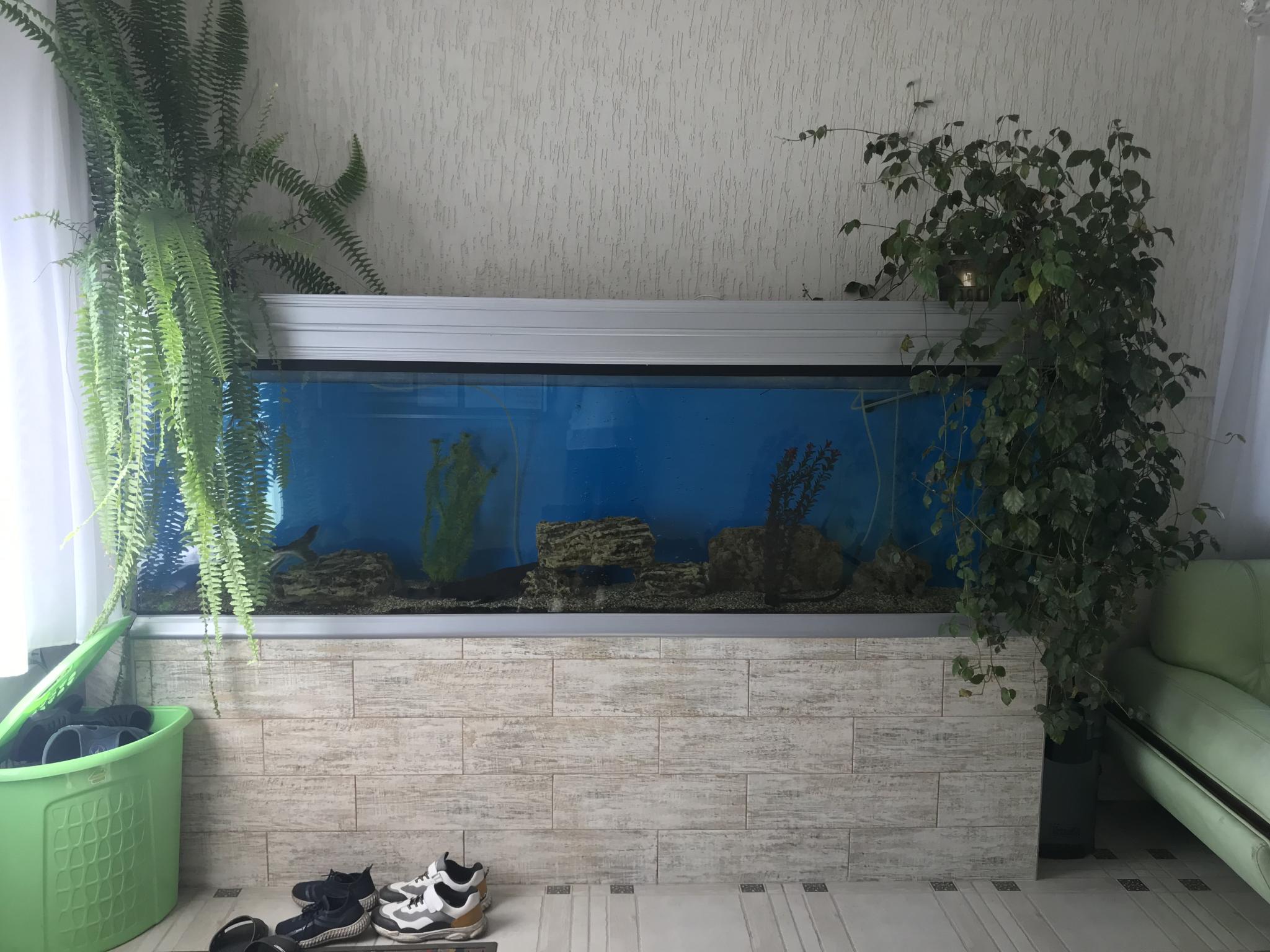 Фото Камчатдар