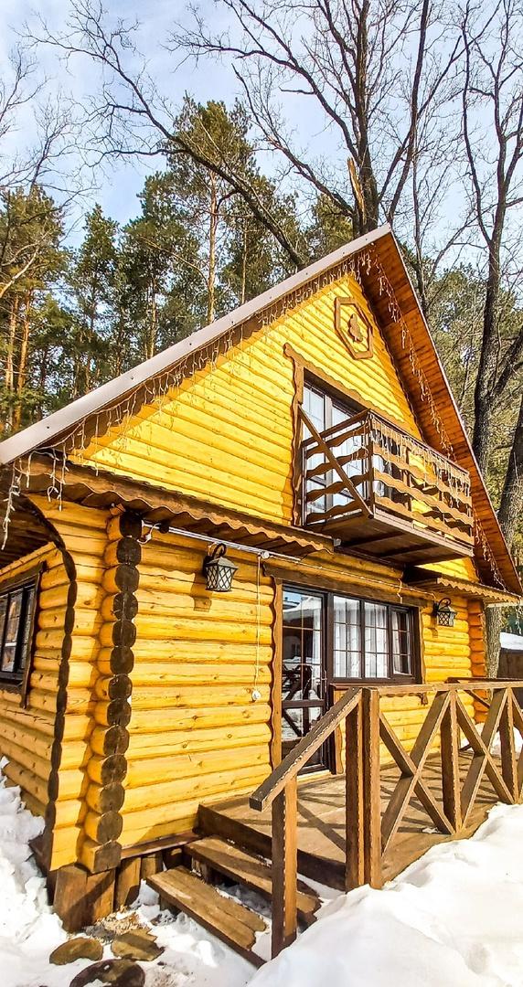 Фото Берёзка