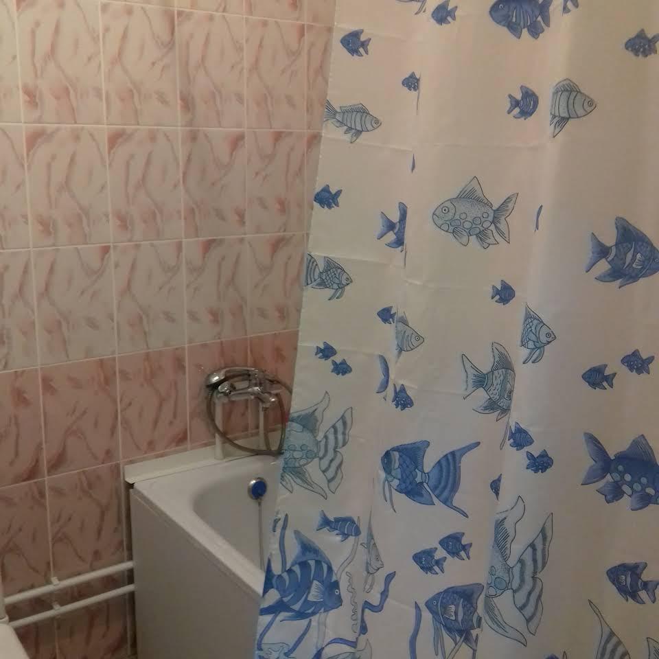 Фото Ленивый жираф