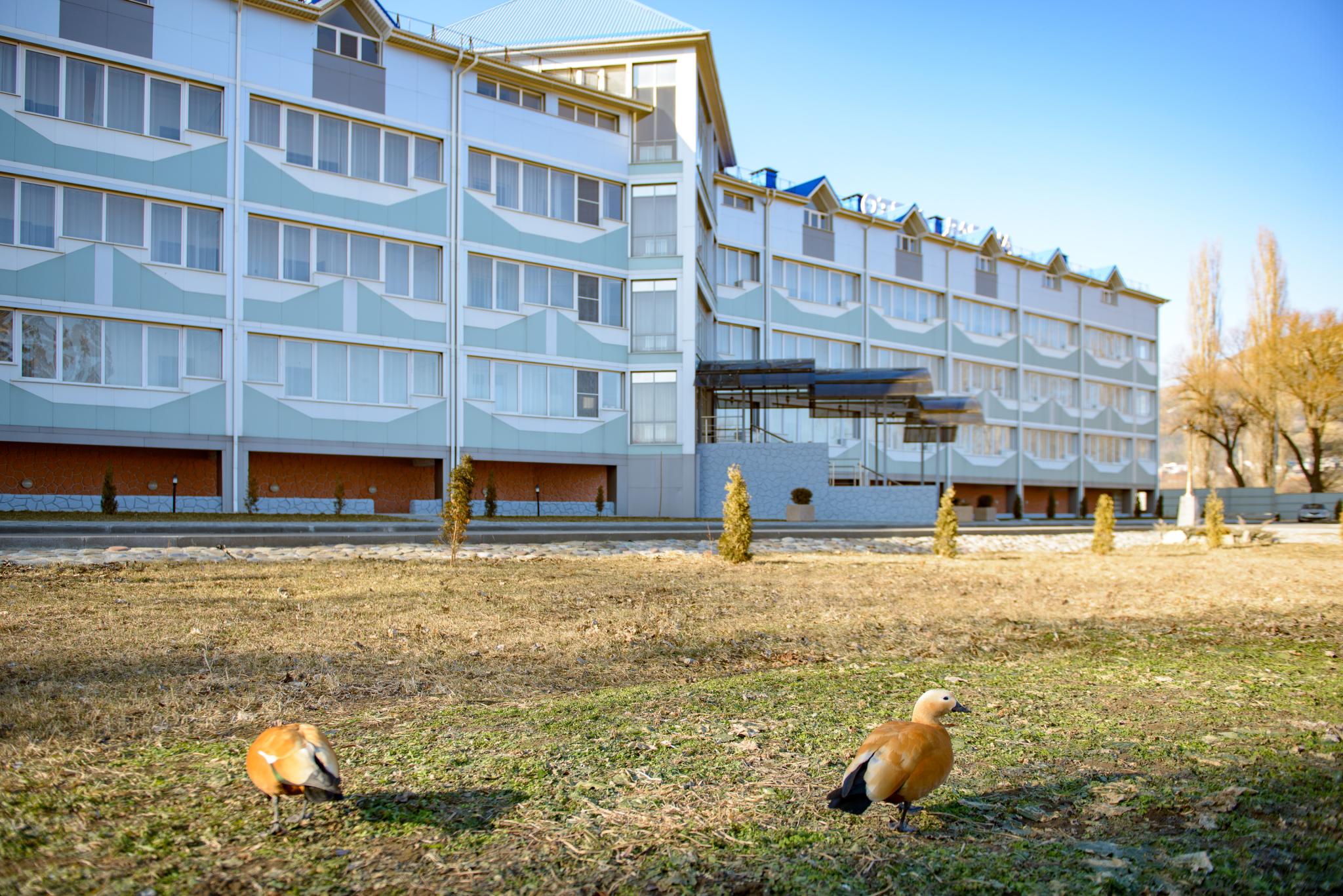 Фото Лагуна