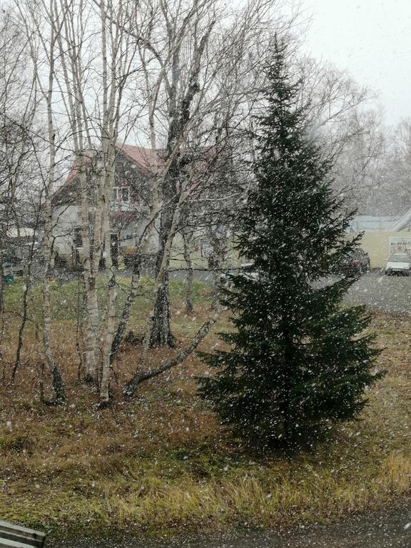 Фото Солнечная