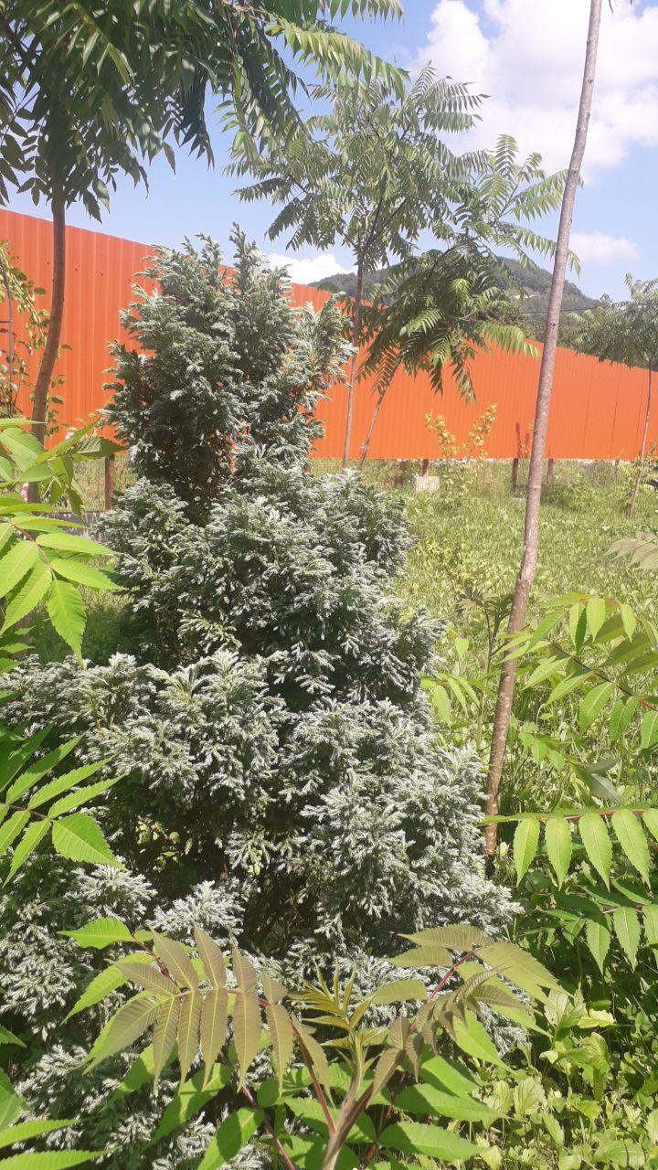 Фото ФилХаус