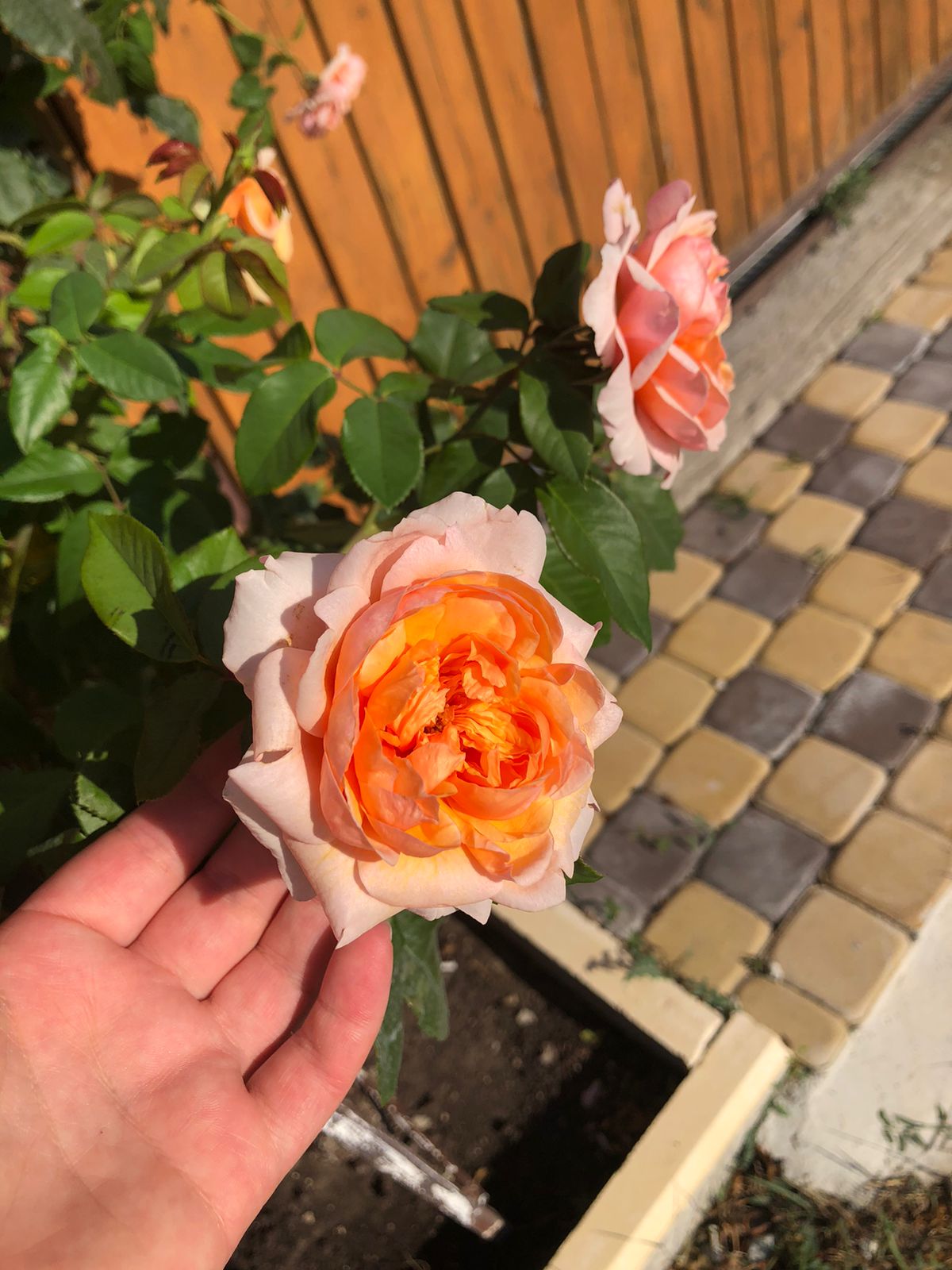 Фото Югория