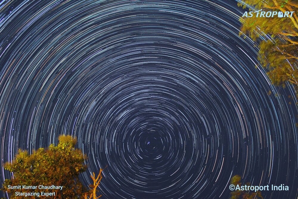 Фото Tusk and Roar Corbett Resort