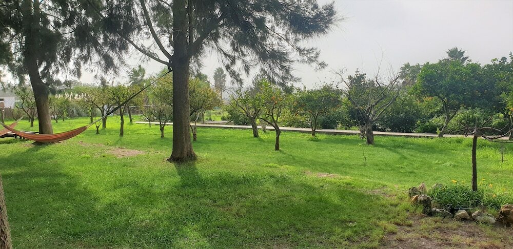 Фото Quinta das Origens