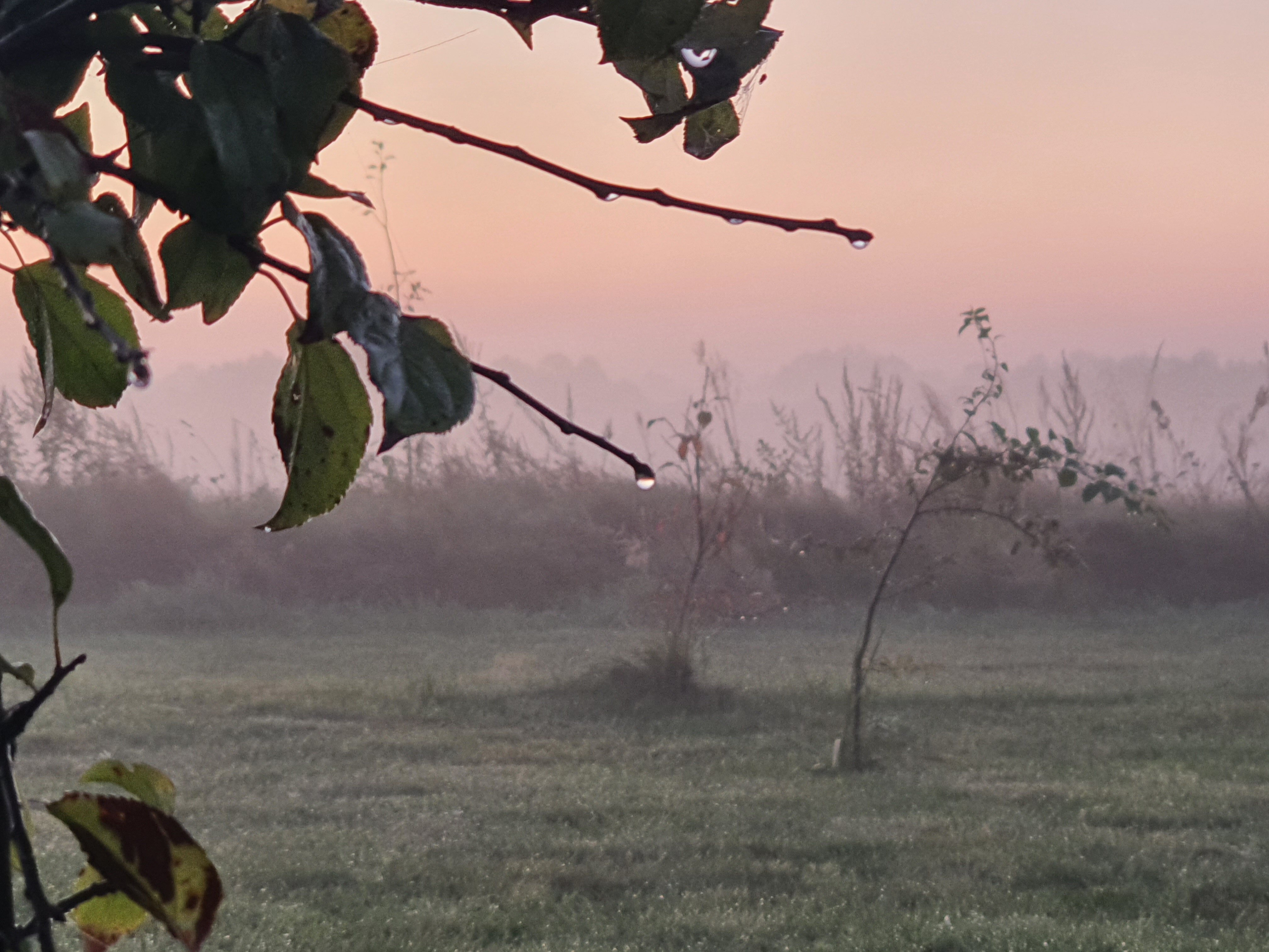 Фото Форт Логово в Бабариках